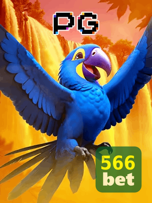 566BET bônus — cashback 15 por cento e níveis VIP